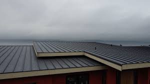 Best Rubber Roofing (EPDM, TPO)  in Allen, TX